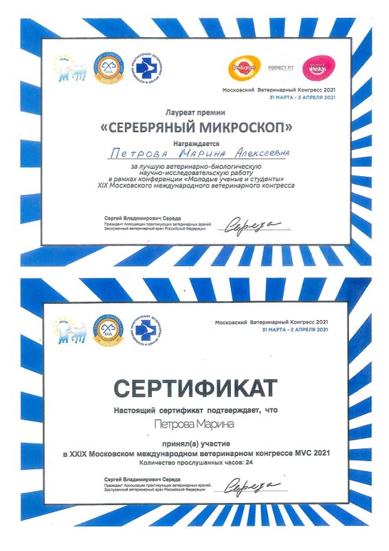 Документ или сертификат