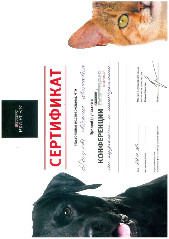 Документ или сертификат