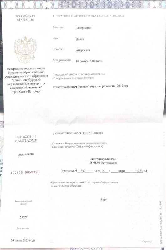 Документ или сертификат