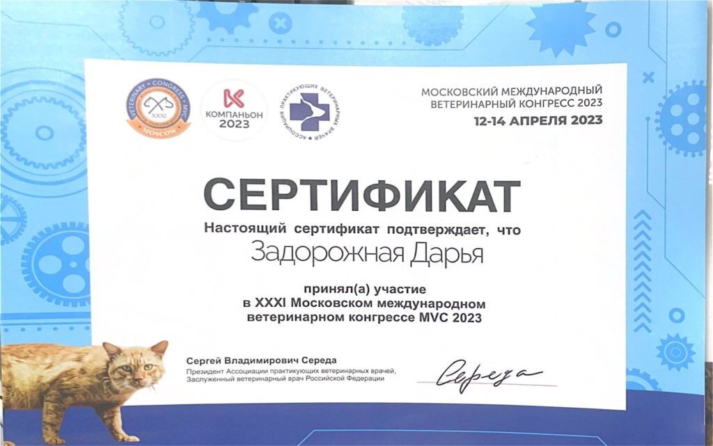 Документ или сертификат