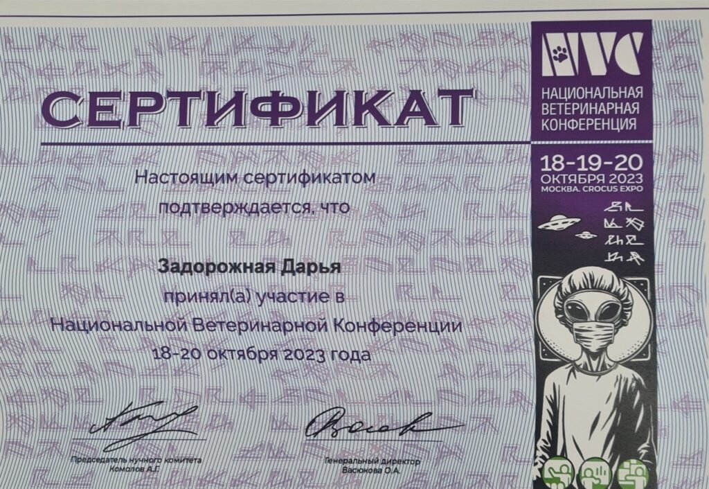 Документ или сертификат