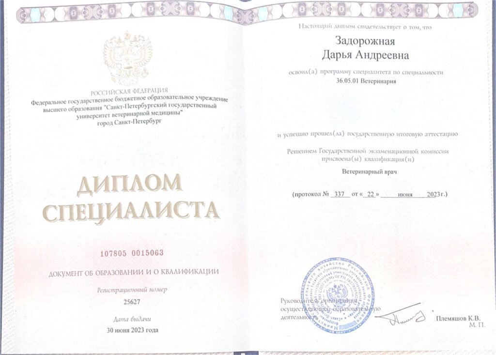 Документ или сертификат