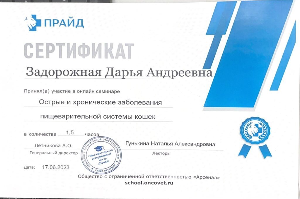 Документ или сертификат
