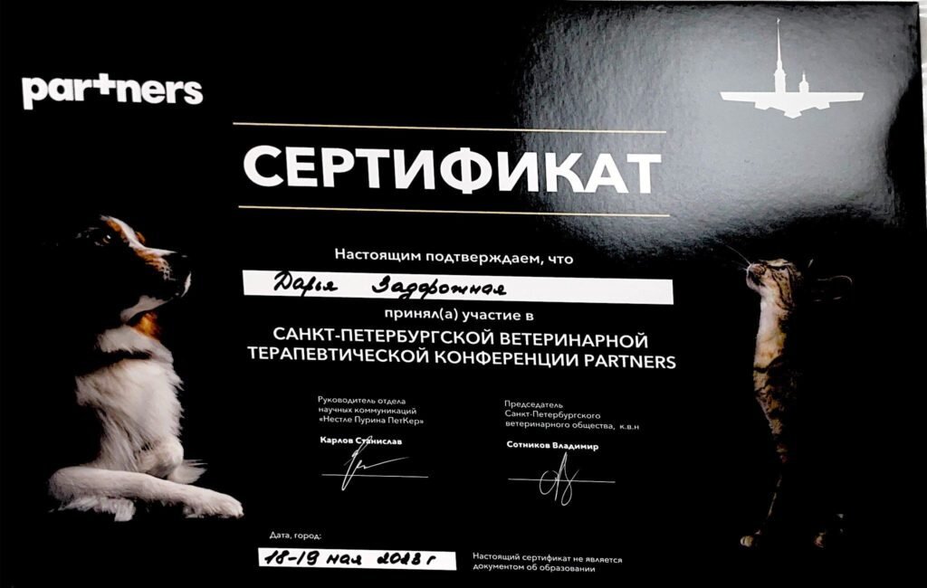 Документ или сертификат