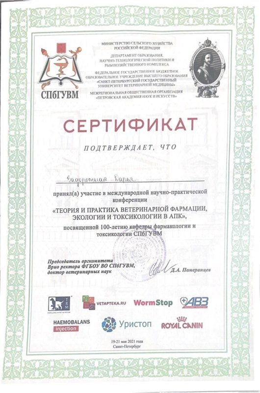 Документ или сертификат