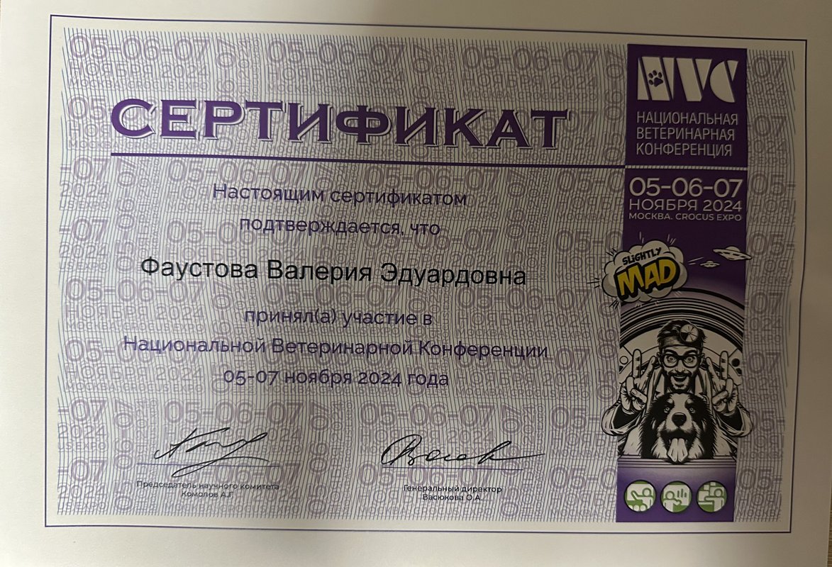 Документ или сертификат