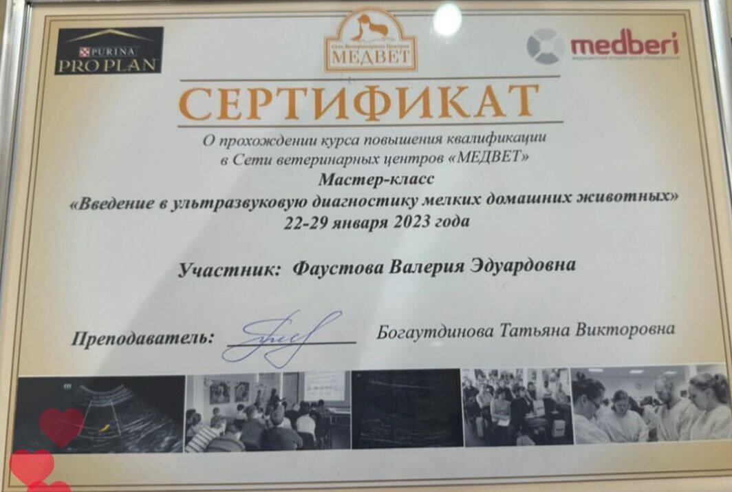 Документ или сертификат