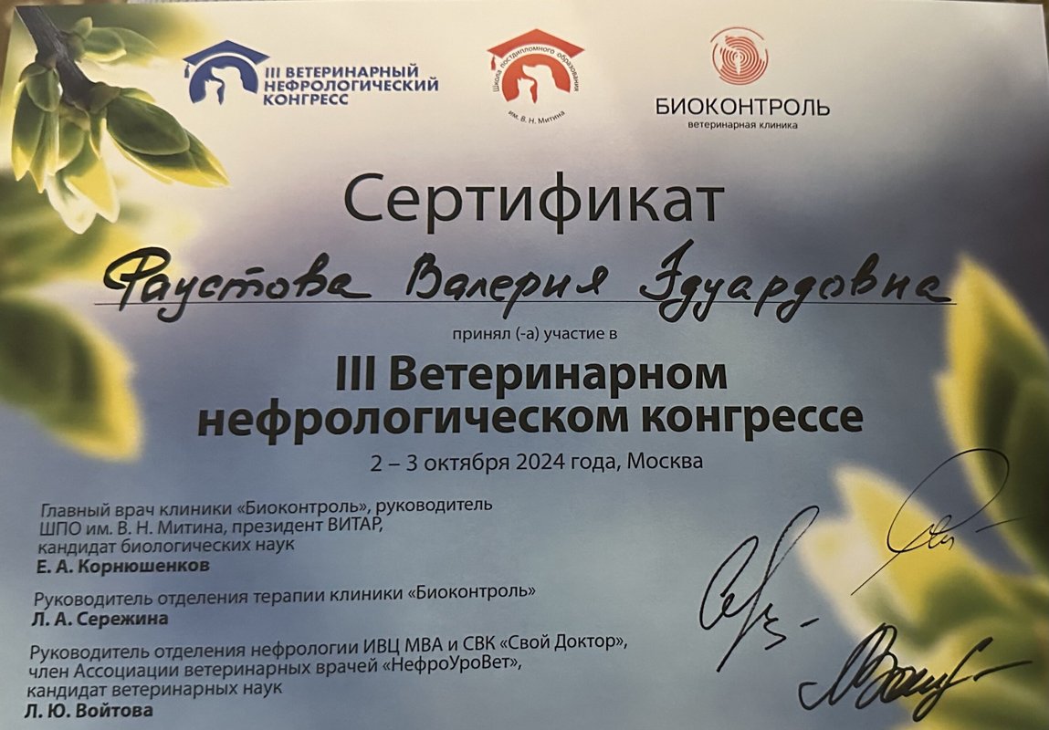 Документ или сертификат