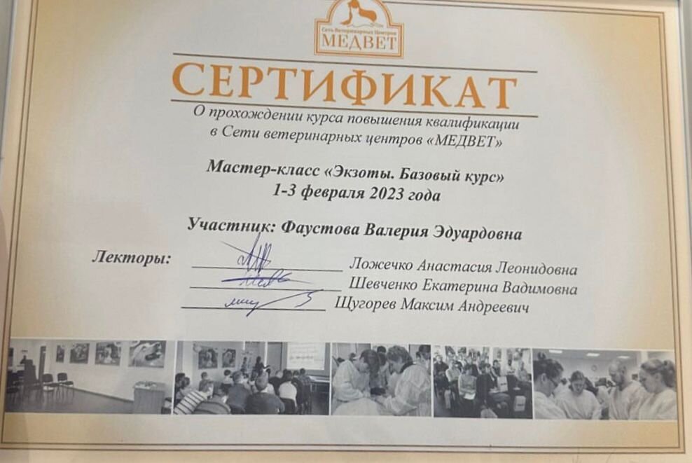 Документ или сертификат