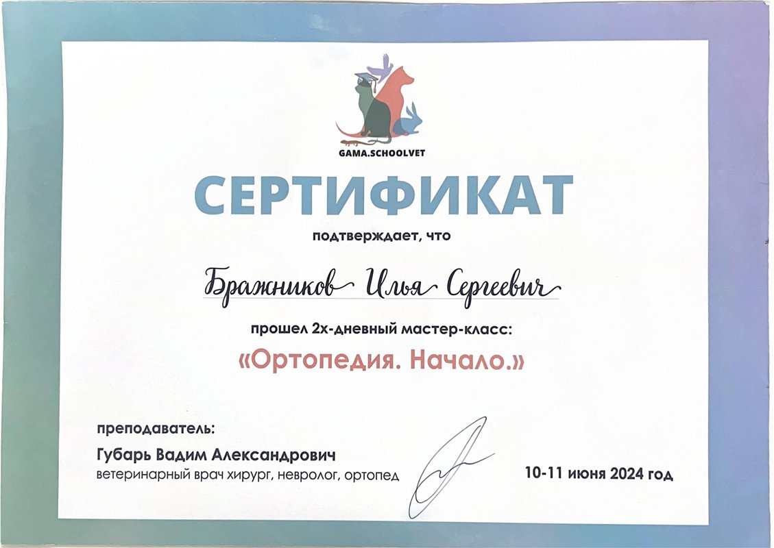 Документ или сертификат