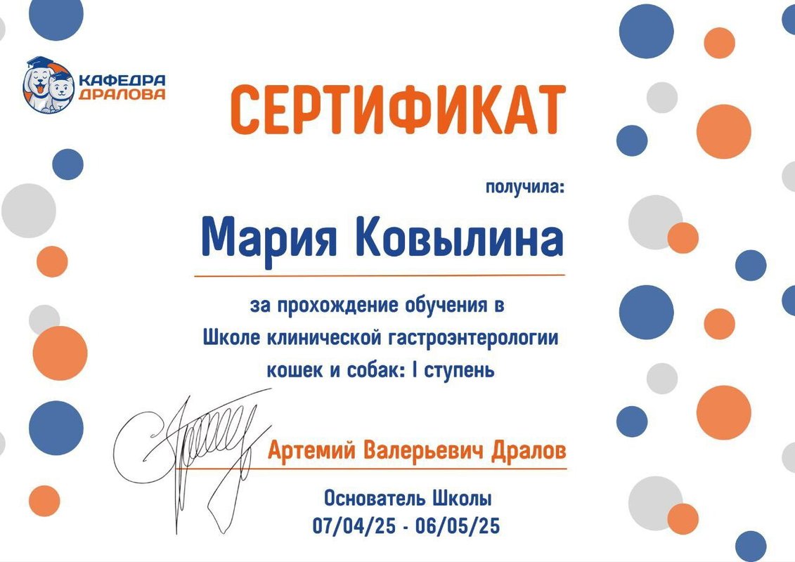 Документ или сертификат