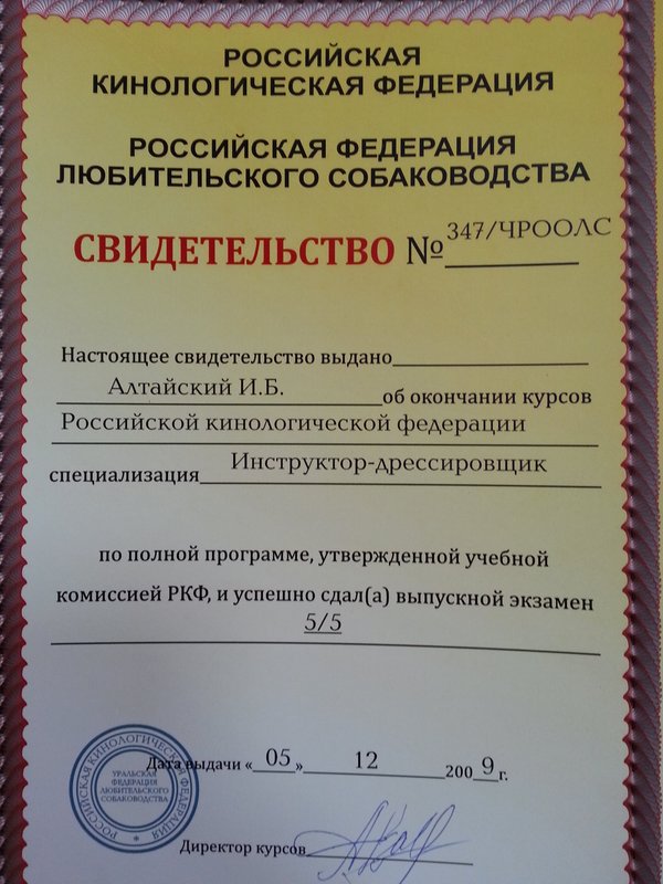 Документ или сертификат