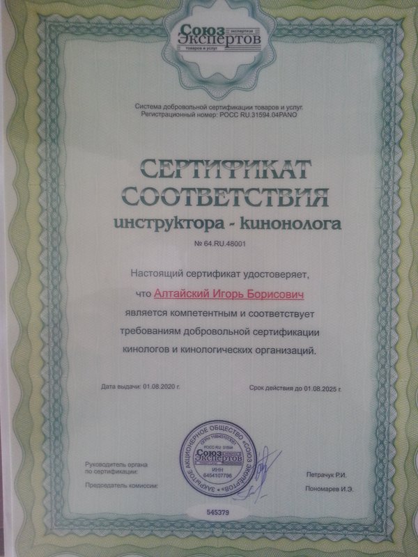 Документ или сертификат