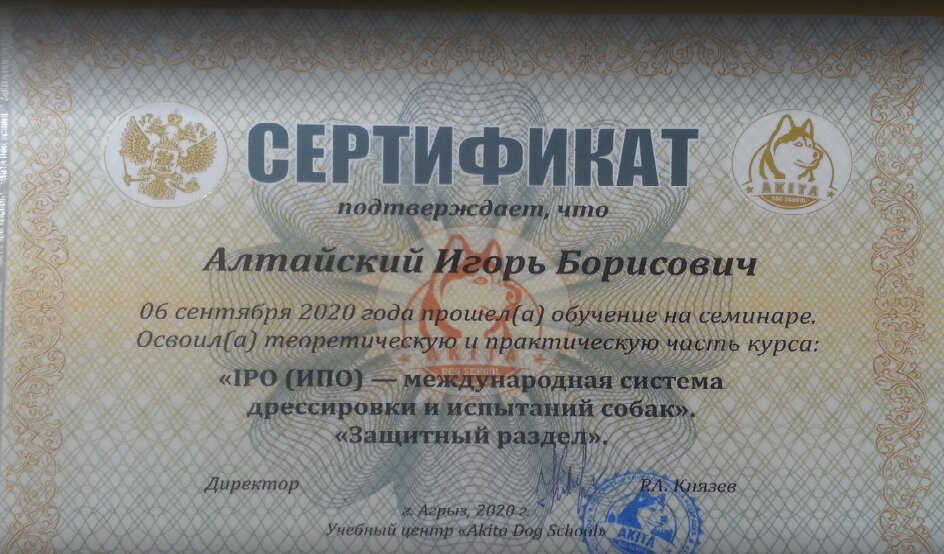 Документ или сертификат
