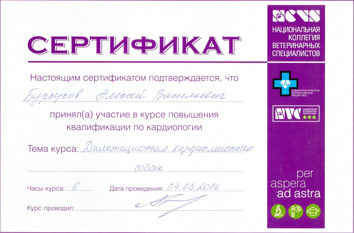 Документ или сертификат
