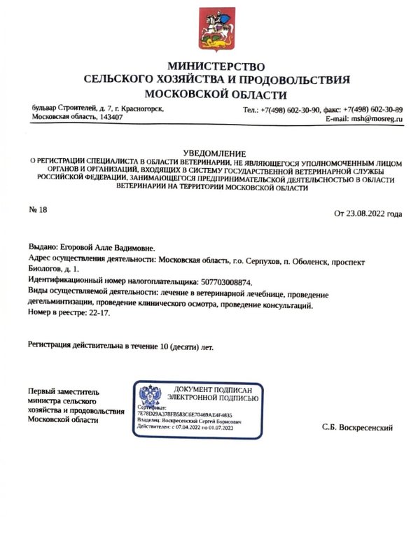 Документ или сертификат