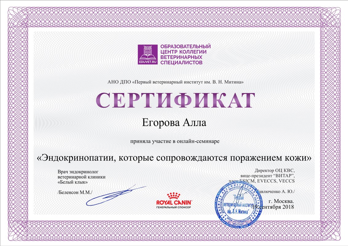 Документ или сертификат