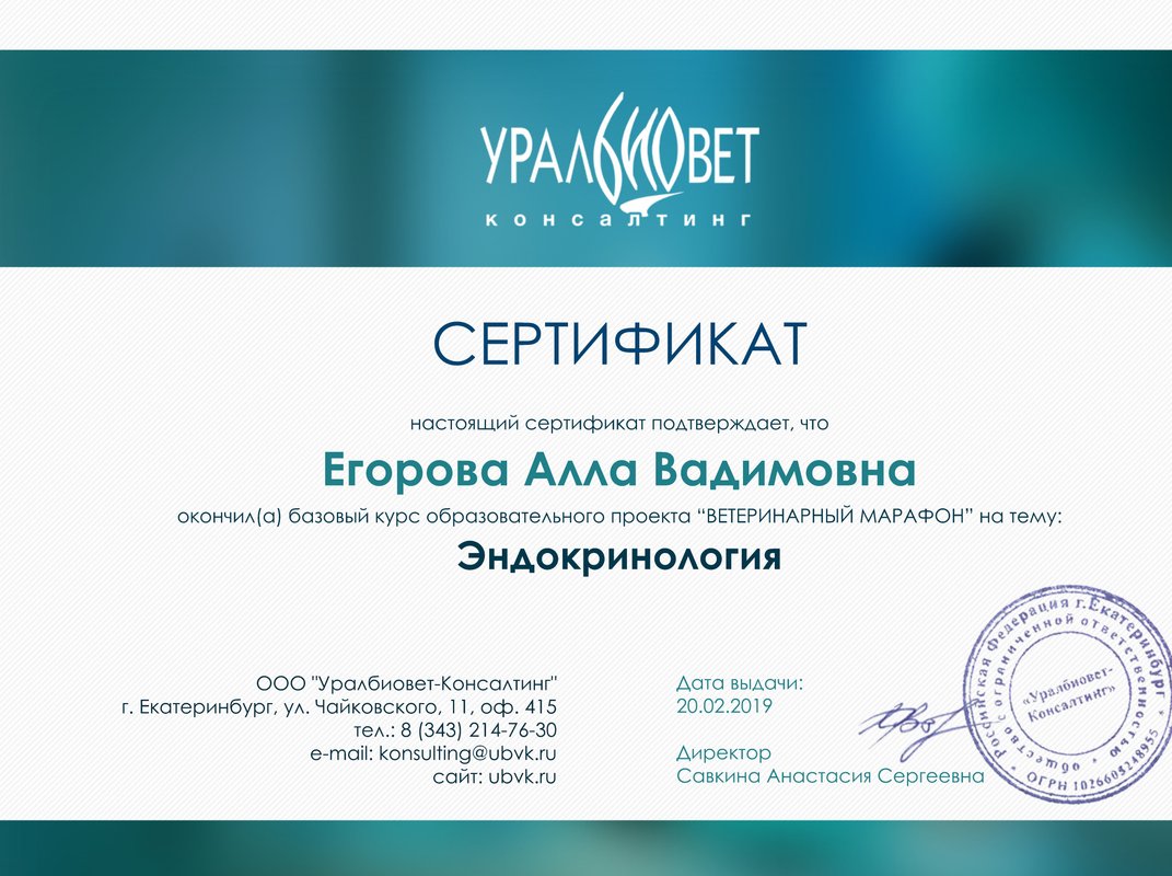 Документ или сертификат