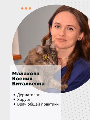 Фото врача Малахова Ксения Витальевна