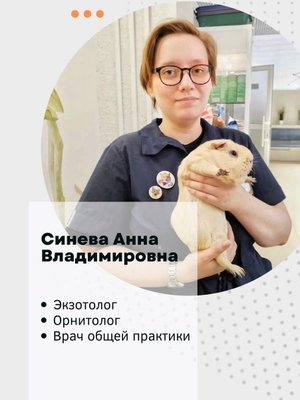 Фото врача Синева Анна Владимировна