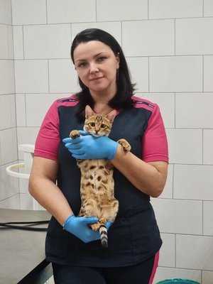 Фото врача Солдатова Валерия Ивановна