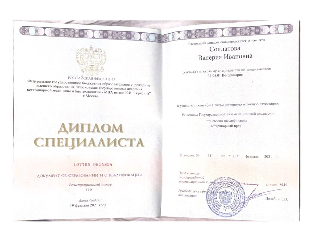 Документ или сертификат