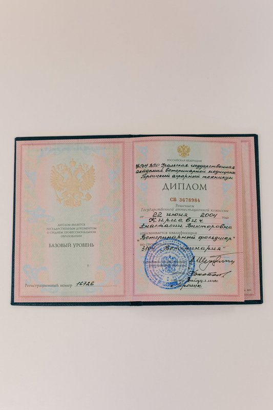 Документ или сертификат