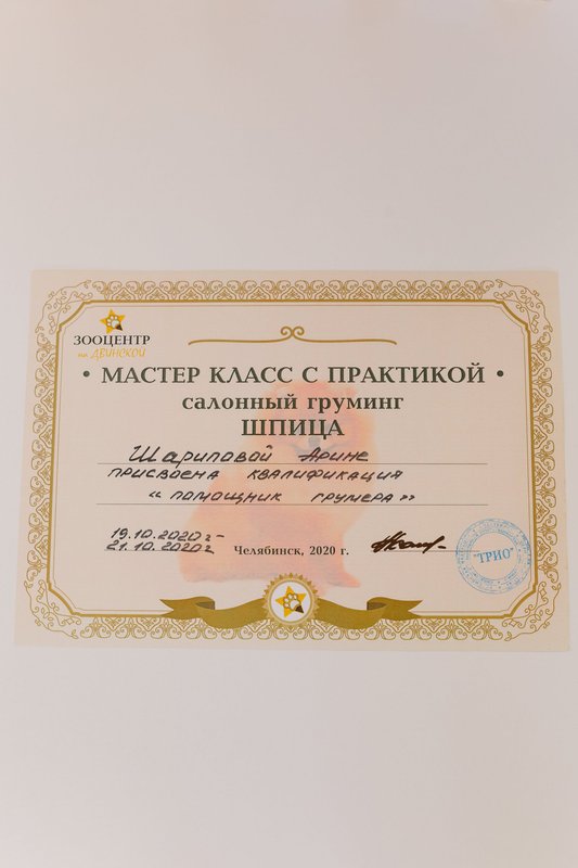 Документ или сертификат
