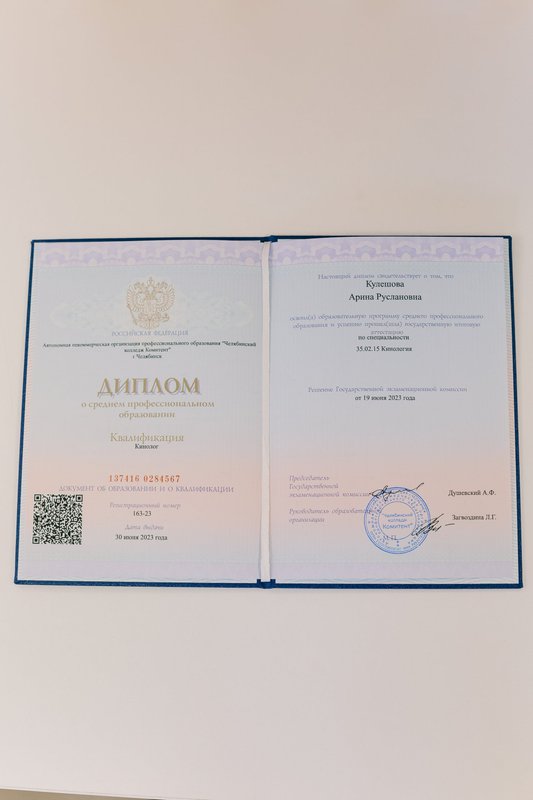 Документ или сертификат