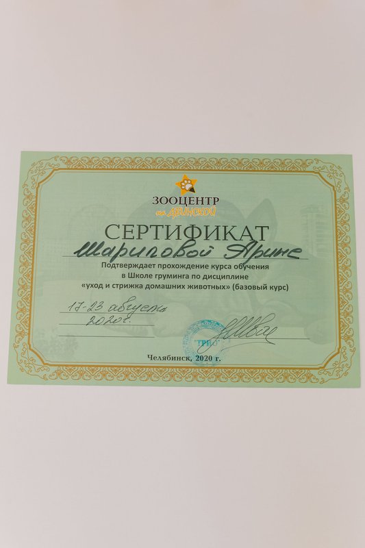 Документ или сертификат