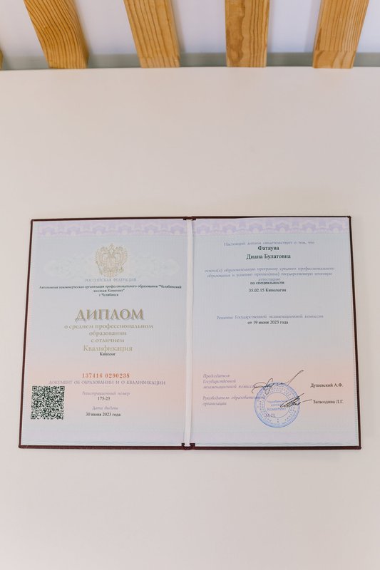 Документ или сертификат