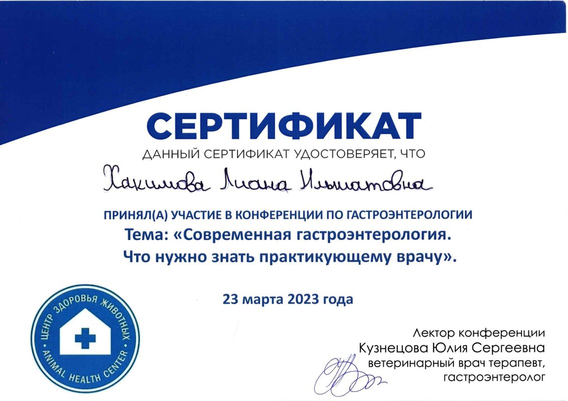 Документ или сертификат