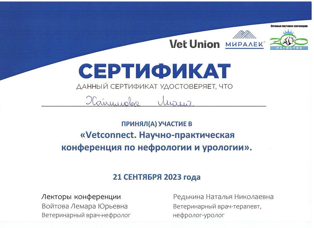 Документ или сертификат