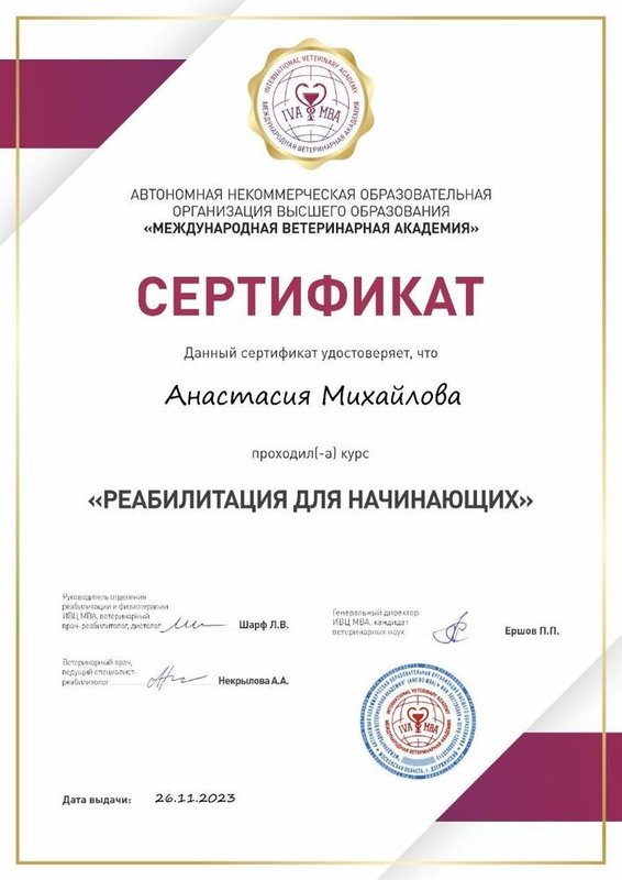 Документ или сертификат