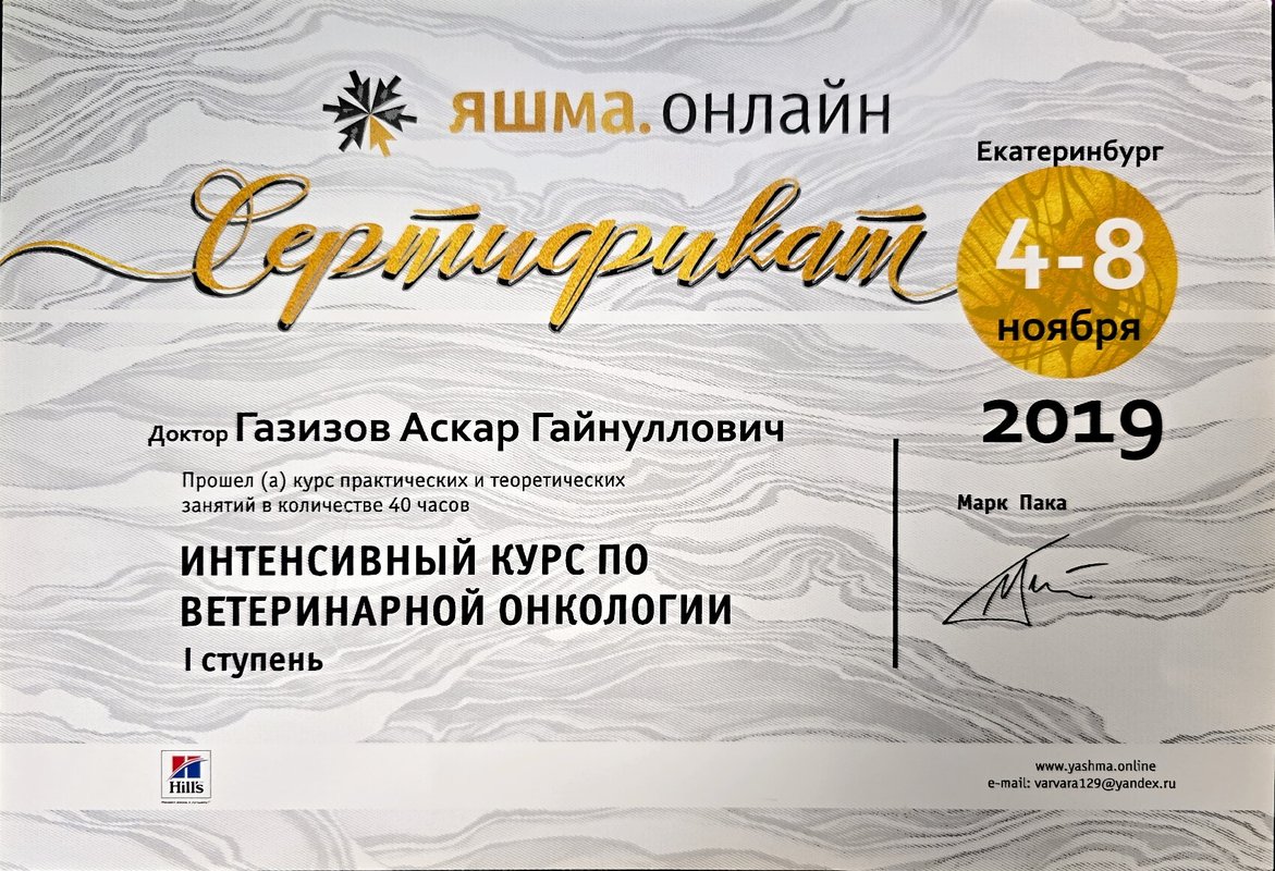 Документ или сертификат
