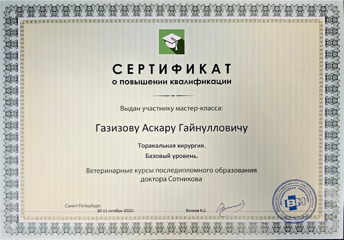 Документ или сертификат