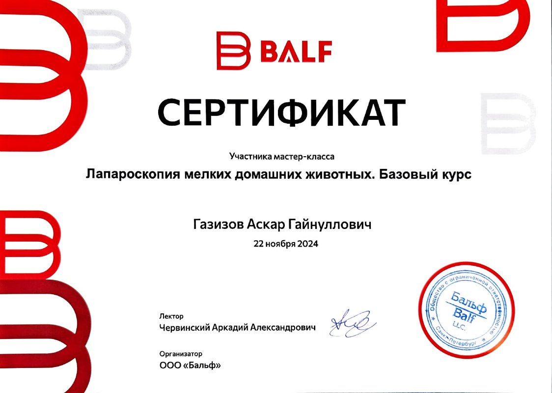 Документ или сертификат