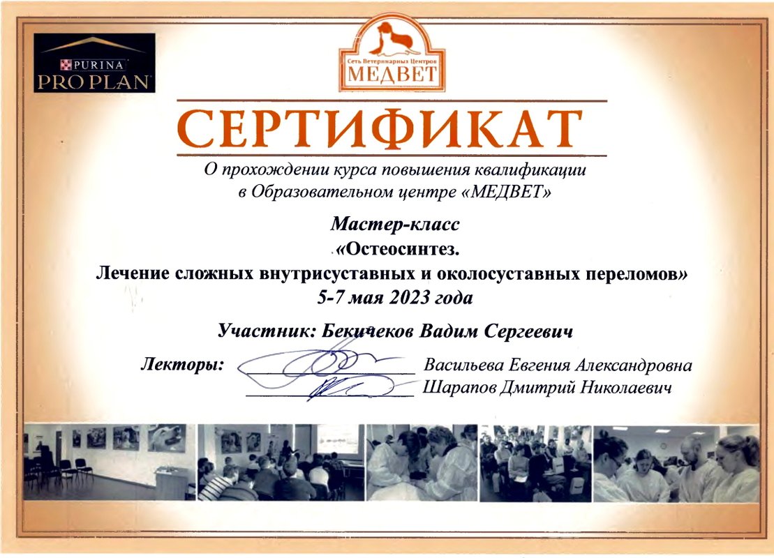 Документ или сертификат