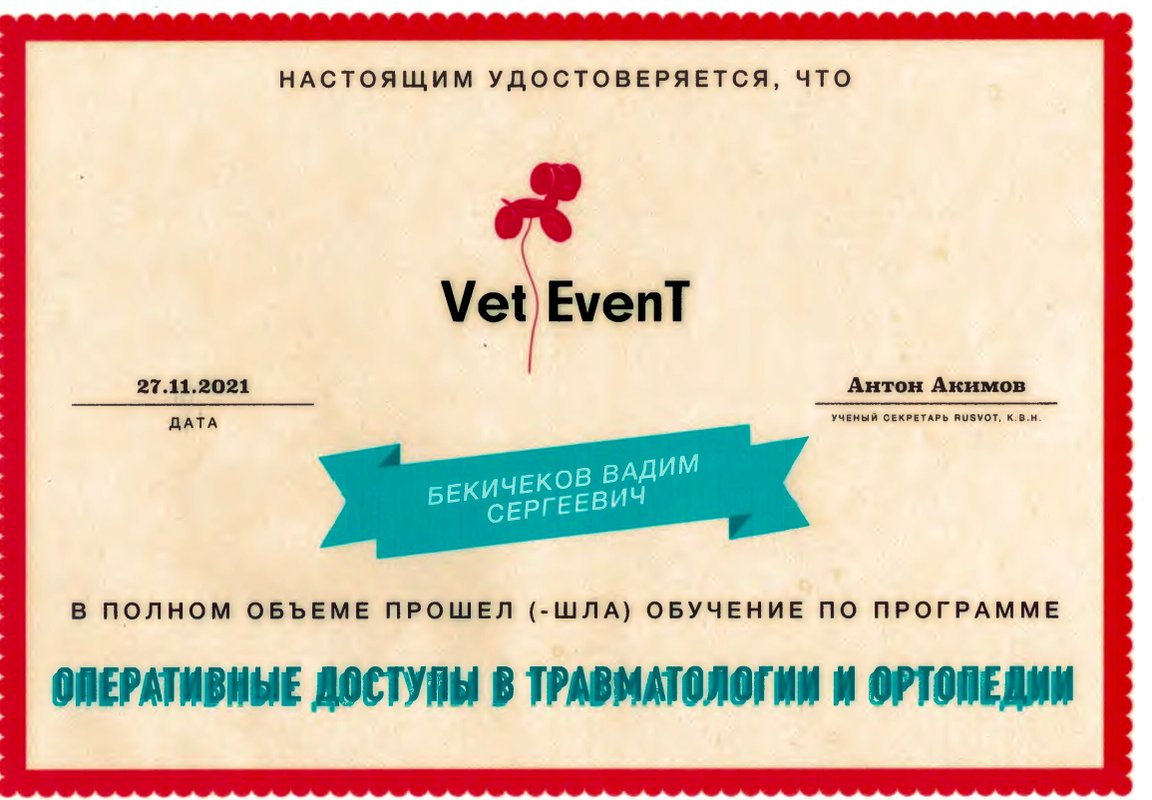 Документ или сертификат