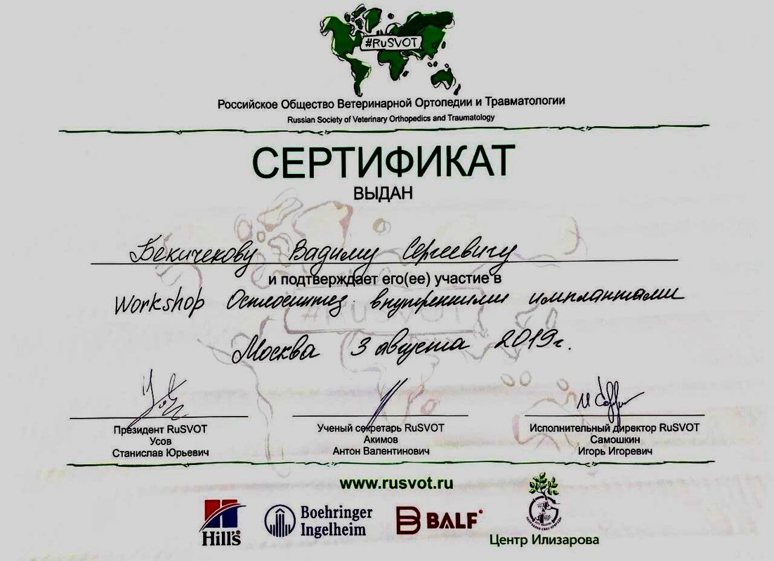 Документ или сертификат