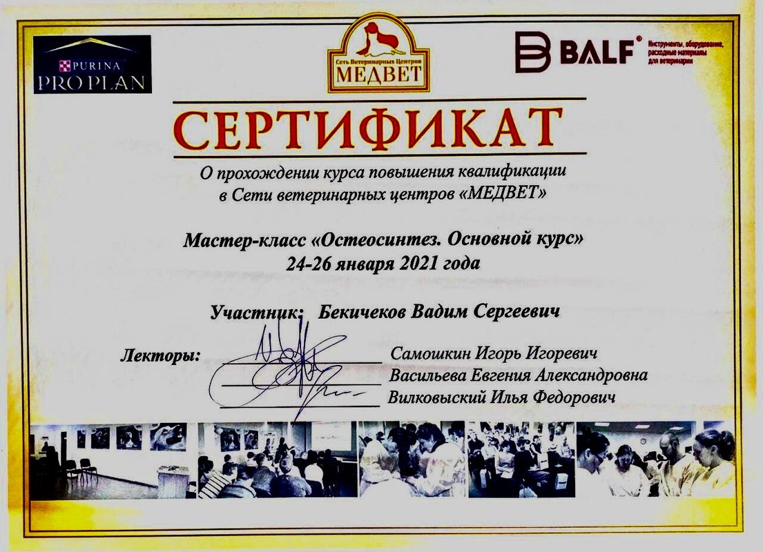 Документ или сертификат