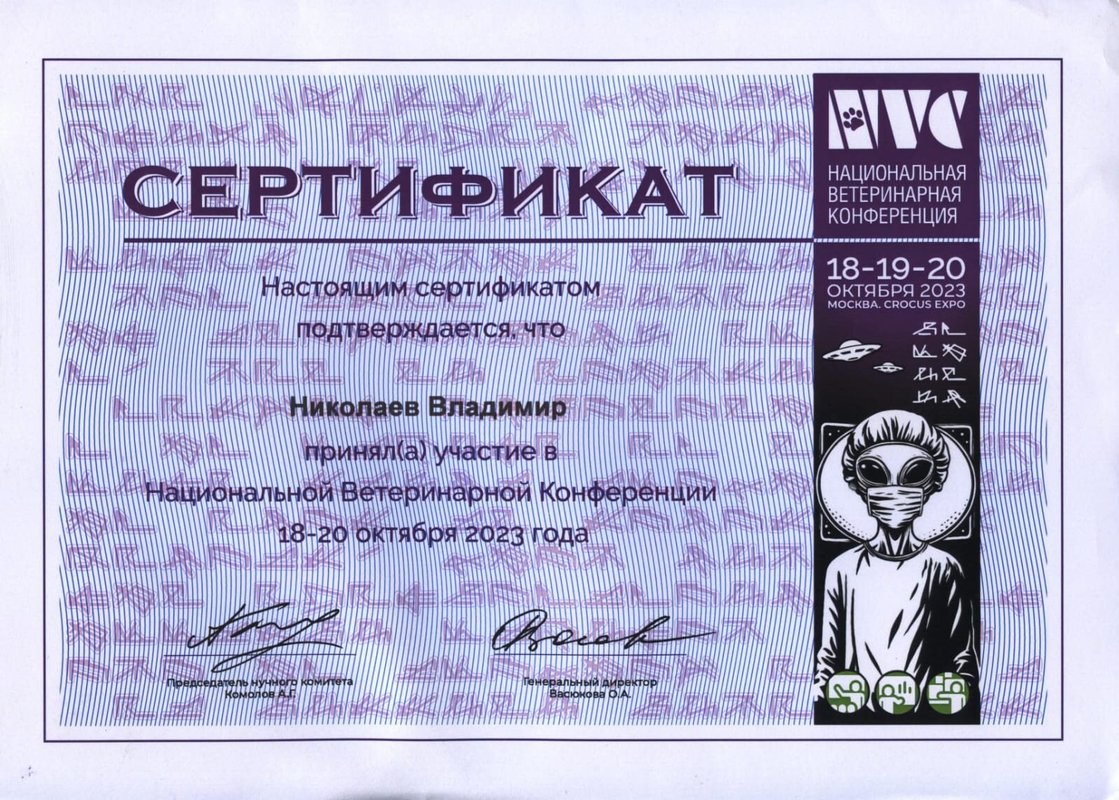 Документ или сертификат