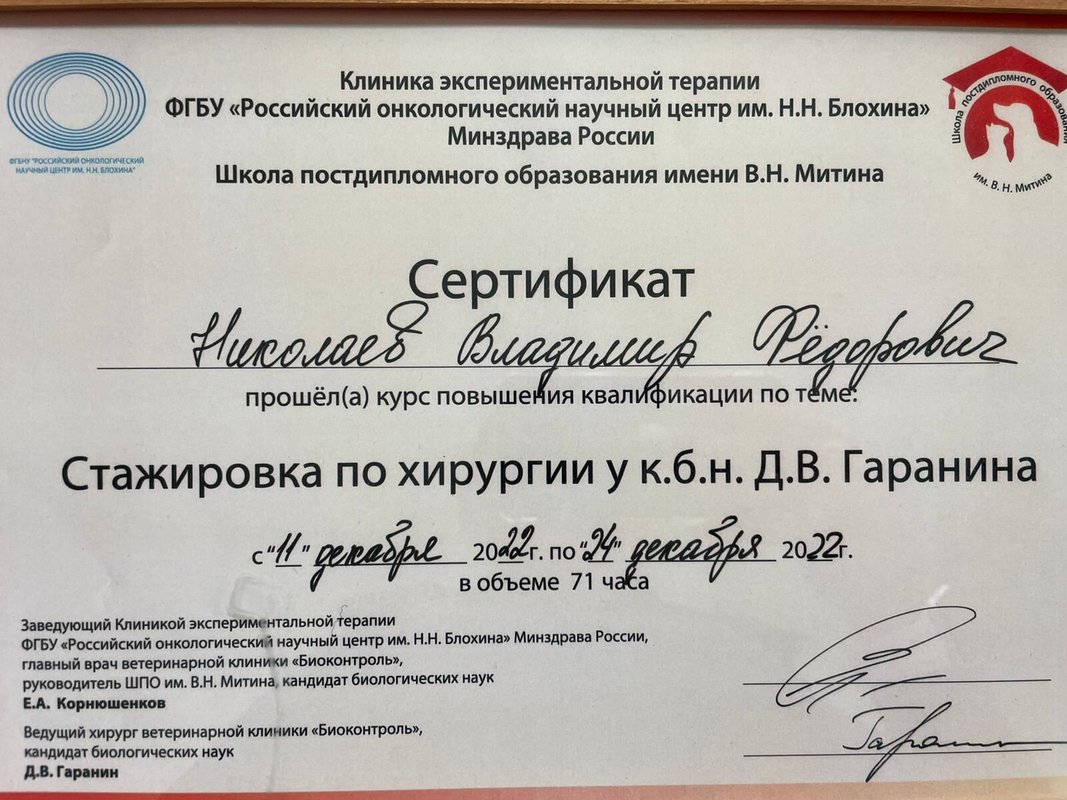 Документ или сертификат