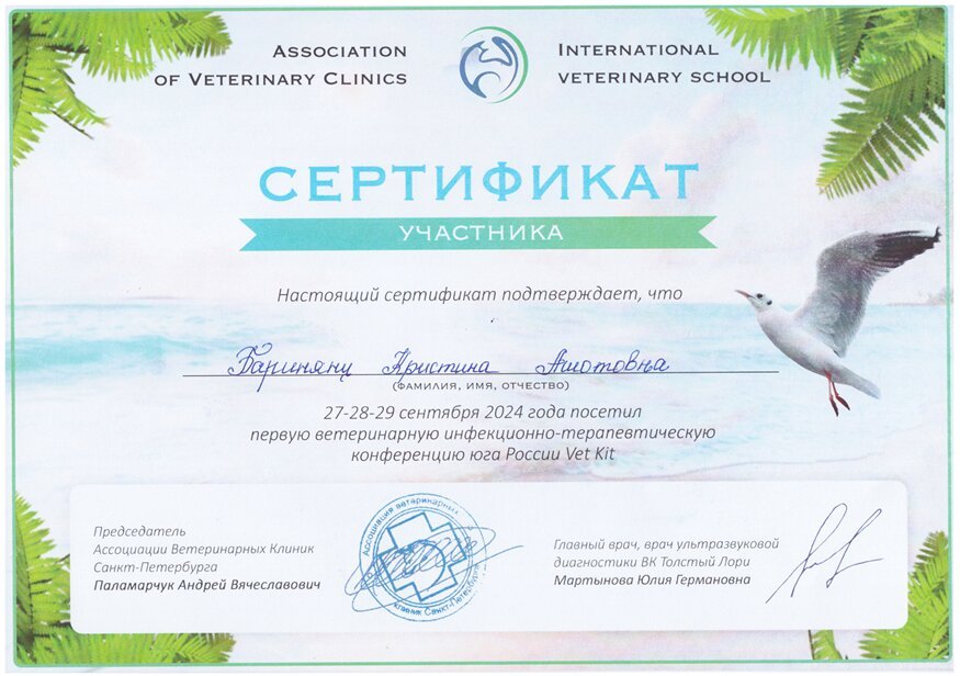 Документ или сертификат
