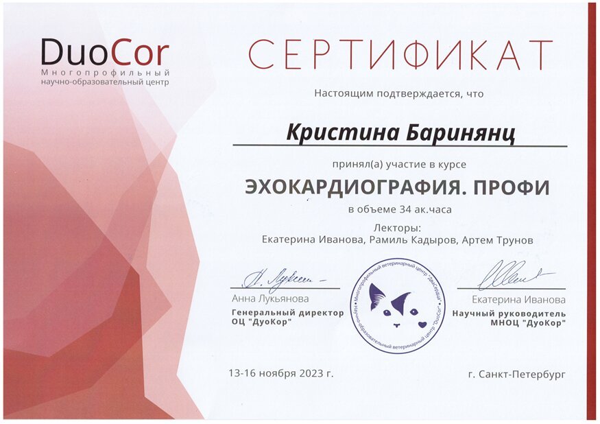 Документ или сертификат