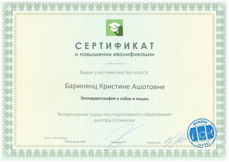 Документ или сертификат
