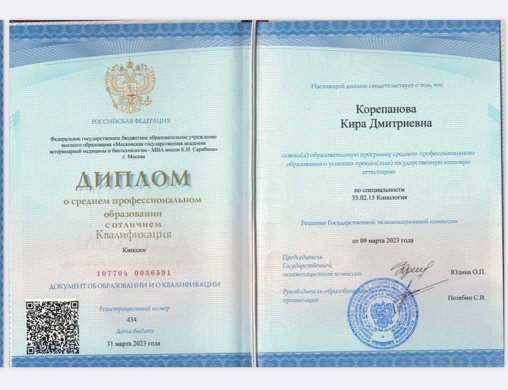 Документ или сертификат