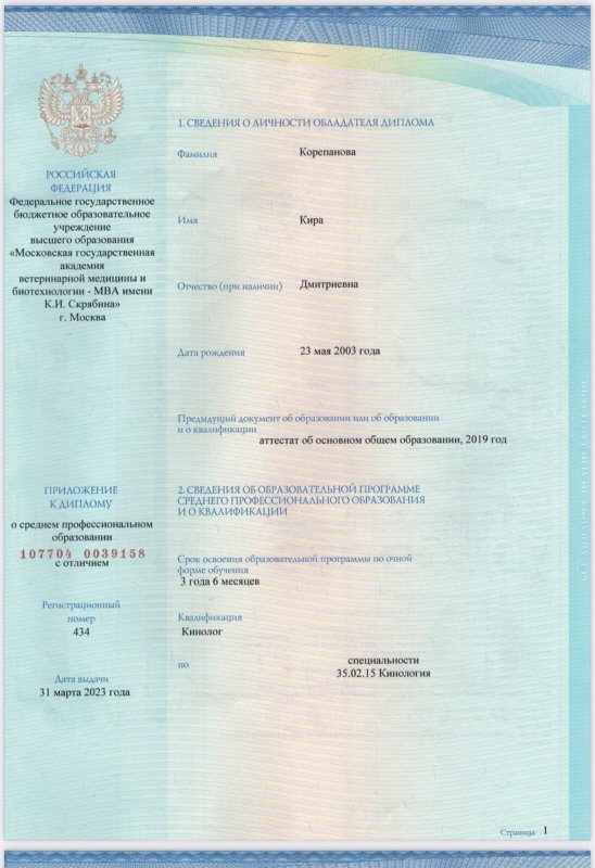 Документ или сертификат