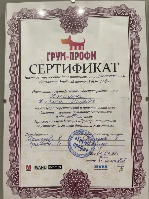 Документ или сертификат