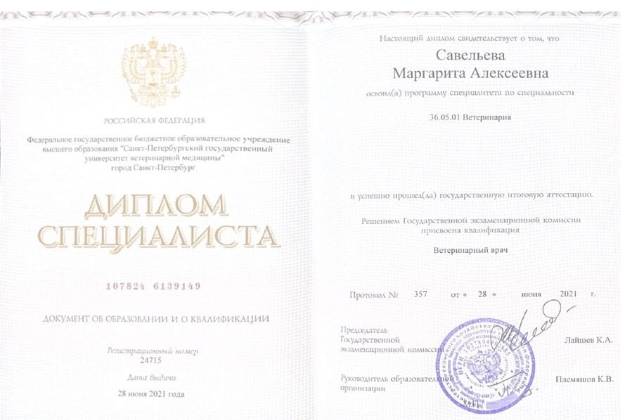 Документ или сертификат